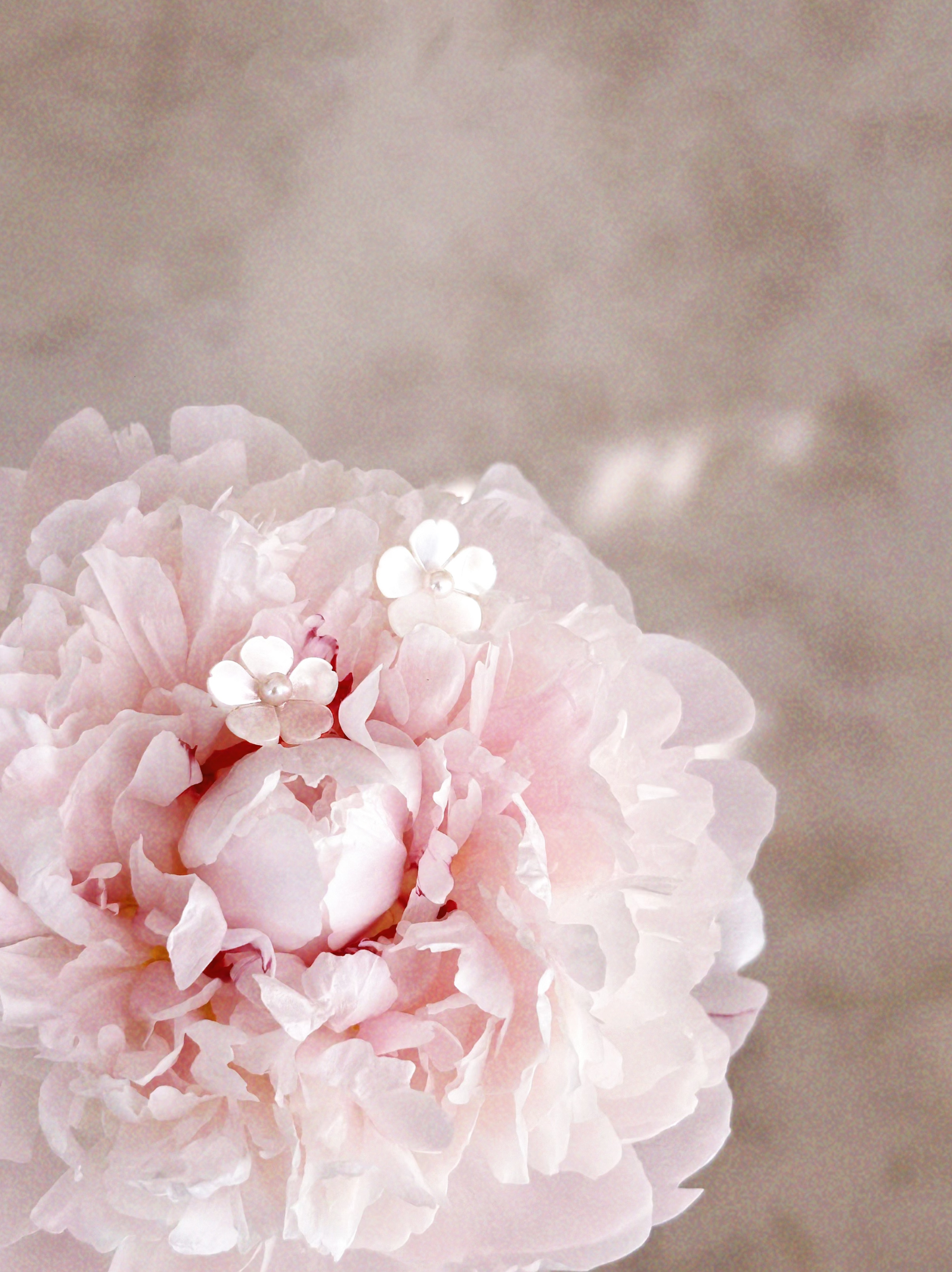 Snowdrop Earrings