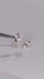 Forget-Me-Not Earrings